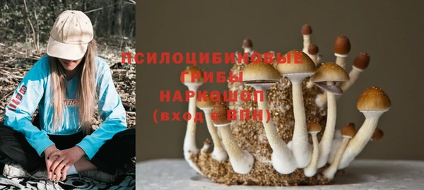 jwh Ельня