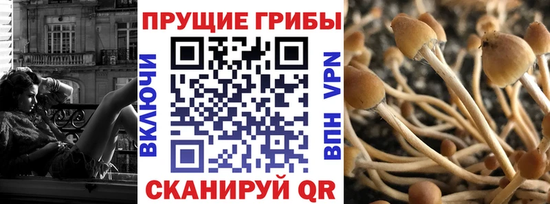 Галлюциногенные грибы мицелий  Лосино-Петровский 